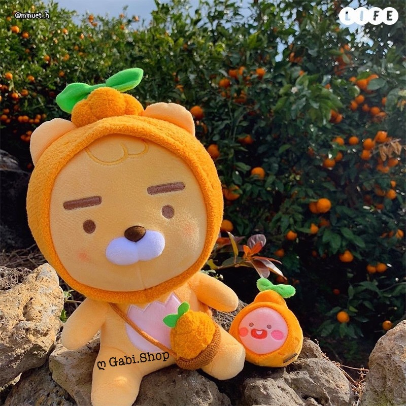 Gấu Bông Ryan Jeju Hallabong - Quả Quýt