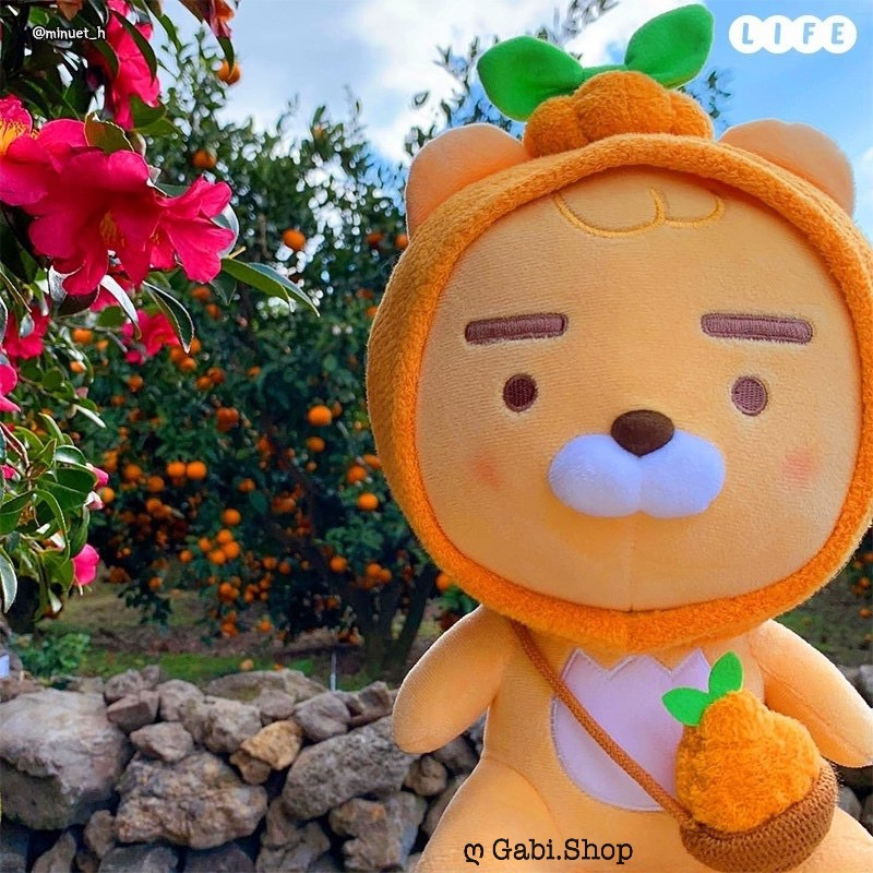Gấu Bông Ryan Jeju Hallabong - Quả Quýt