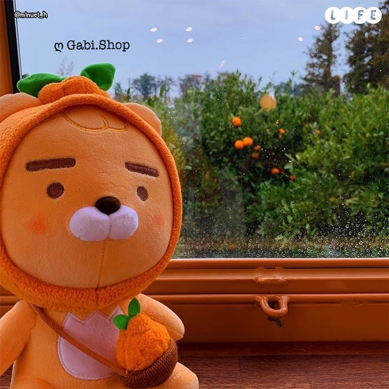 Gấu Bông Ryan Jeju Hallabong - Quả Quýt