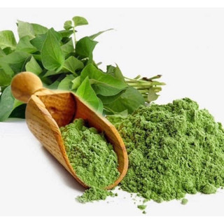 500Gr Bột diếp cá sấy lạnh thơm ngon, mịn  mới