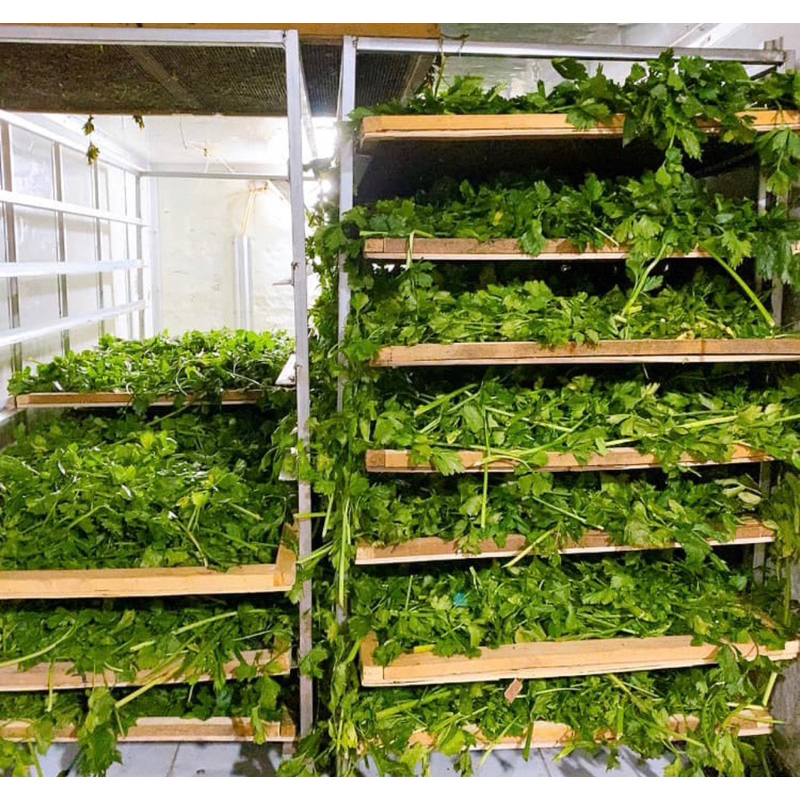 500Gr Bột cần Tây sấy lạnh thơm mịn mới ,ngon nhất