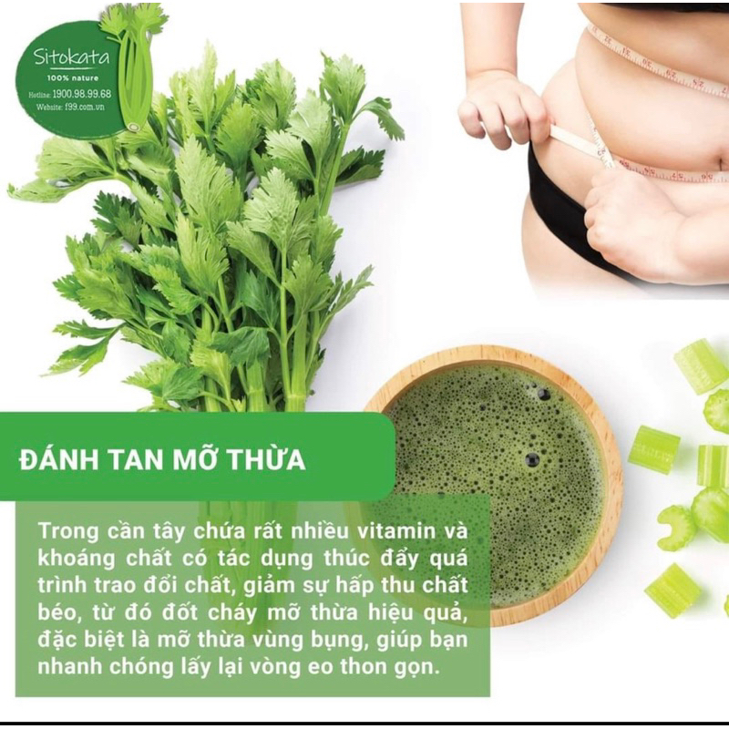 500Gr Bột cần Tây sấy lạnh thơm mịn mới ,ngon nhất