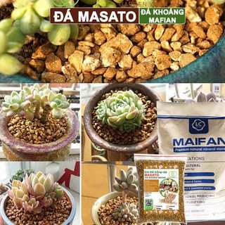 ĐÁ MASATO - Cực phẩm dành cho sen đá, xương rồng, cây mọng nước, hoa hồng - TheCactusHouse shop