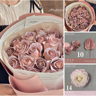 Sơn xịt hoa lên màu siêu nhanh