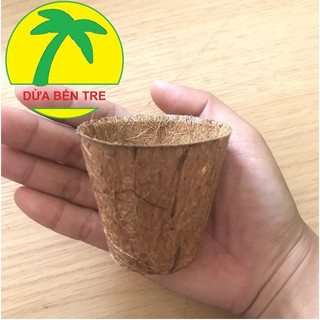 01 Chậu xơ dừa ươm cây + 01 viên nén mụn dừa