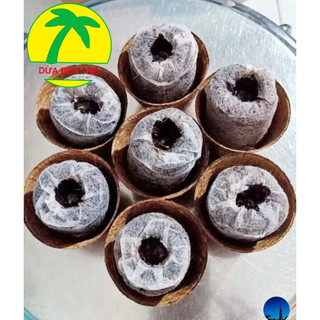 Viên nén mụn dừa ươm cây