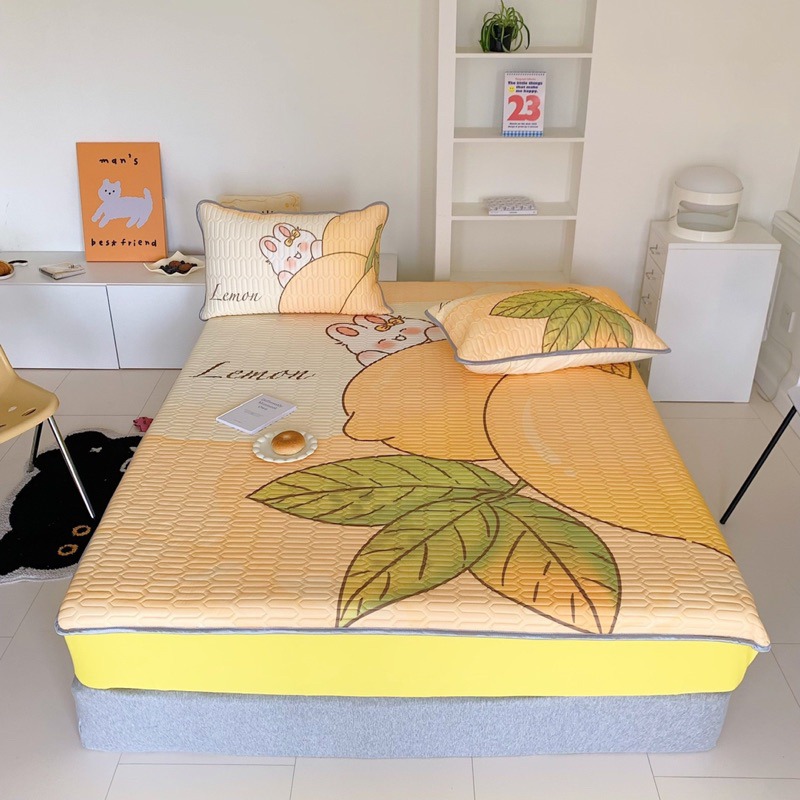 chiếu cao su non,chiếu cho bé, chiếu điều hoà cao cấp