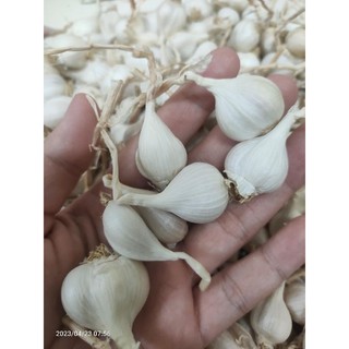 Tỏi lý sơn 100% .để được cả năm