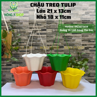 Size nhỏ 18x11cm Chậu nhựa treo thông minh vành bèo, có nút chống rỉ nước, miếng lót đáy, Chậu hoa tulip thủy sinh