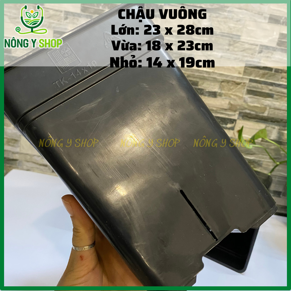 Size lớn 23-28cm Chậu nhựa vuông cứng, trồng cây cảnh, cây kiểng, hoa hồng, hoa lan