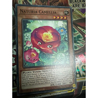 Bài yugioh: naturia camellia