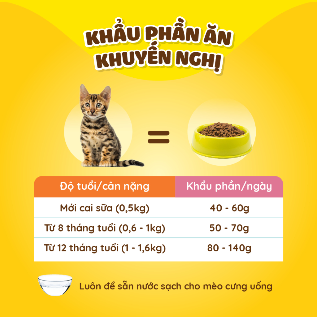 Dr.Kyan - Thức ăn hạt cho mèo nhỏ Feed Plus - Kitten 1,2Kg - Vị cá hồi