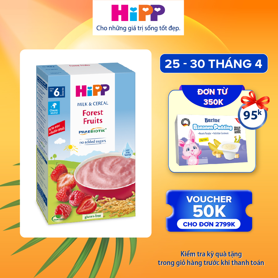 Bột ăn dặm dinh dưỡng Sữa, Hoa quả rừng HiPP Organic 250g