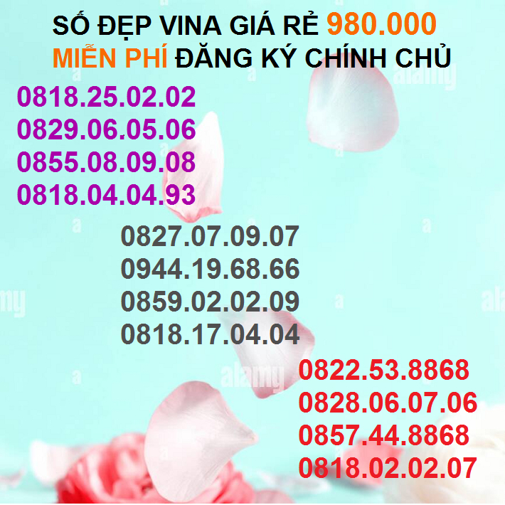 Sim Đẹp VINA GIÁ RẺ 980k Năm Sinh, Lặp, Cặp, Phong Thủy Đại Phát,Đại Lộc,Tam hoa tứ quý giữa ...HỖ TRỢ ĐĂNG KÝ CHÍNH CHỦ