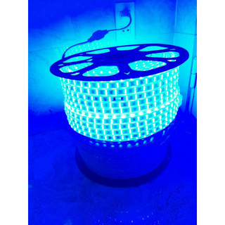 Dây led cuộn 5050 điện áp 220V - XANH DƯƠNG