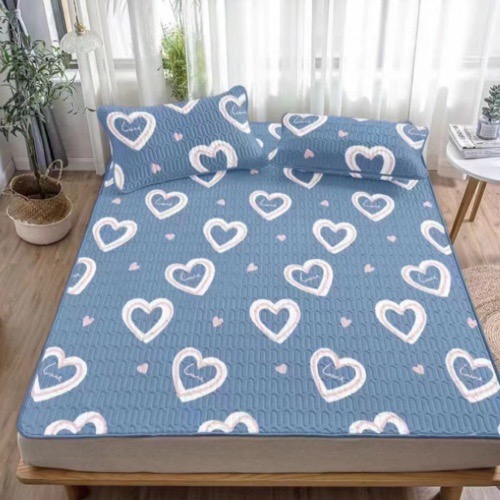 Chiếu Điều Hòa Cao Su Non  In Hình 2D Siêu Mát Tặng Kèm 2 Vỏ Gối