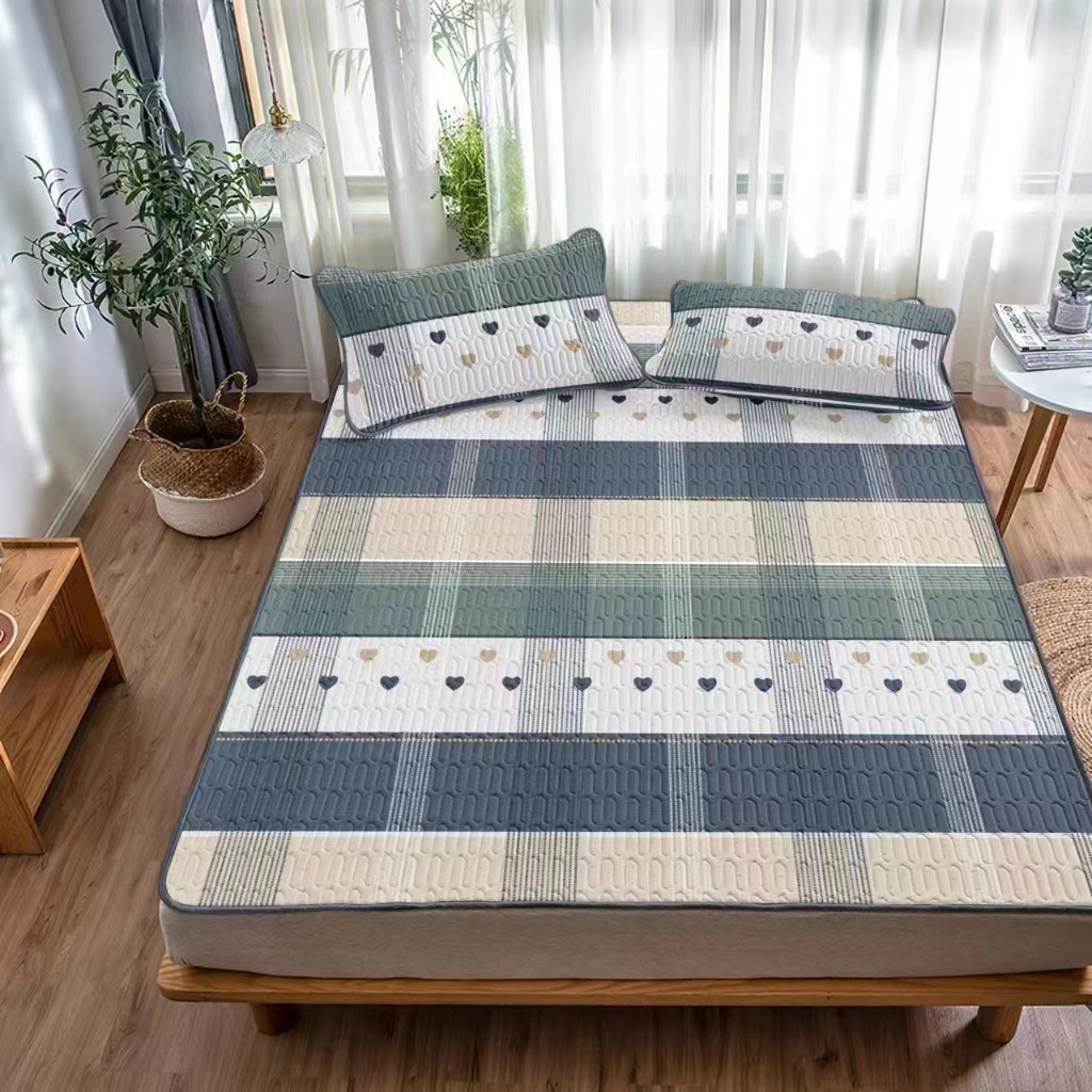 Chiếu Điều Hòa Cao Su Non  In Hình 2D Siêu Mát Tặng Kèm 2 Vỏ Gối