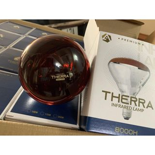 Bóng đèn hồng ngoại 250w