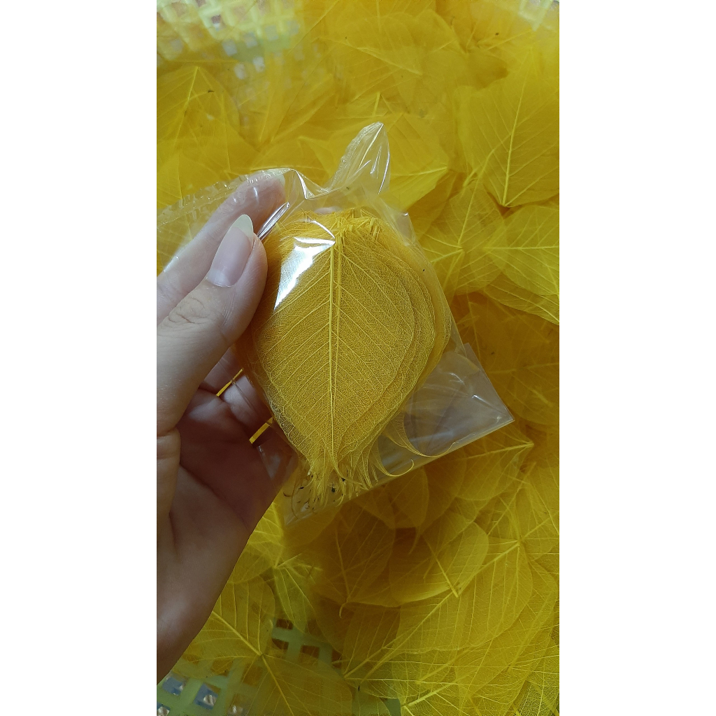Set 100 lá bồ đề mini size 2-3-4cm