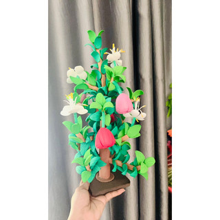 cây ăn quả xốp mầm non