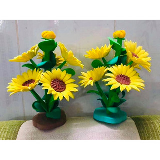 cây ăn quả xốp mầm non