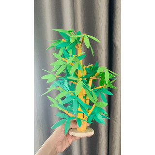 cây ăn quả xốp mầm non