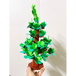 Cây ăn quả xốp mầm non