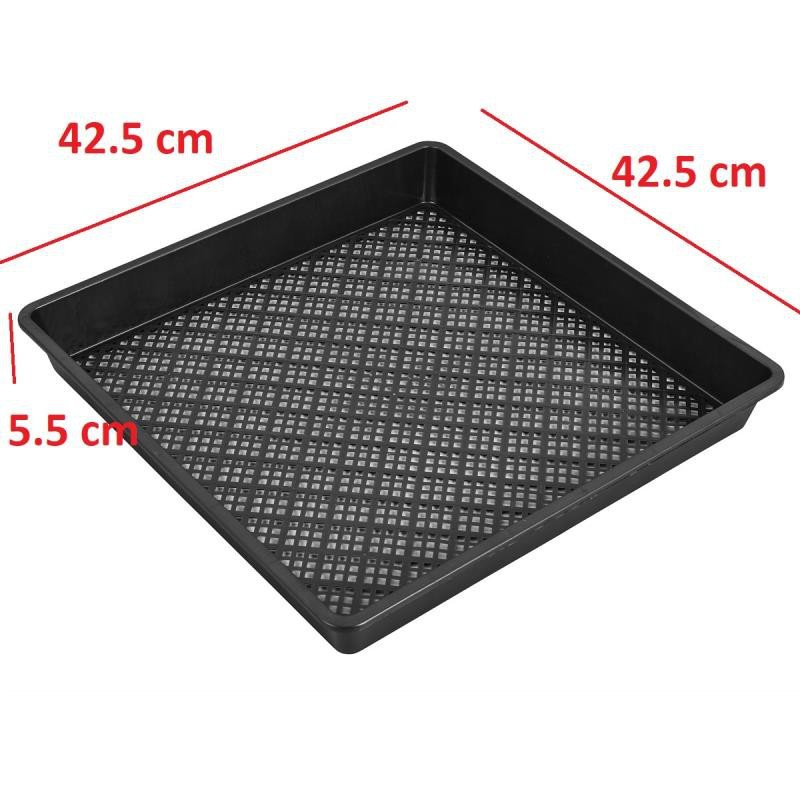 Khay trồng rau mầm thuỷ canh