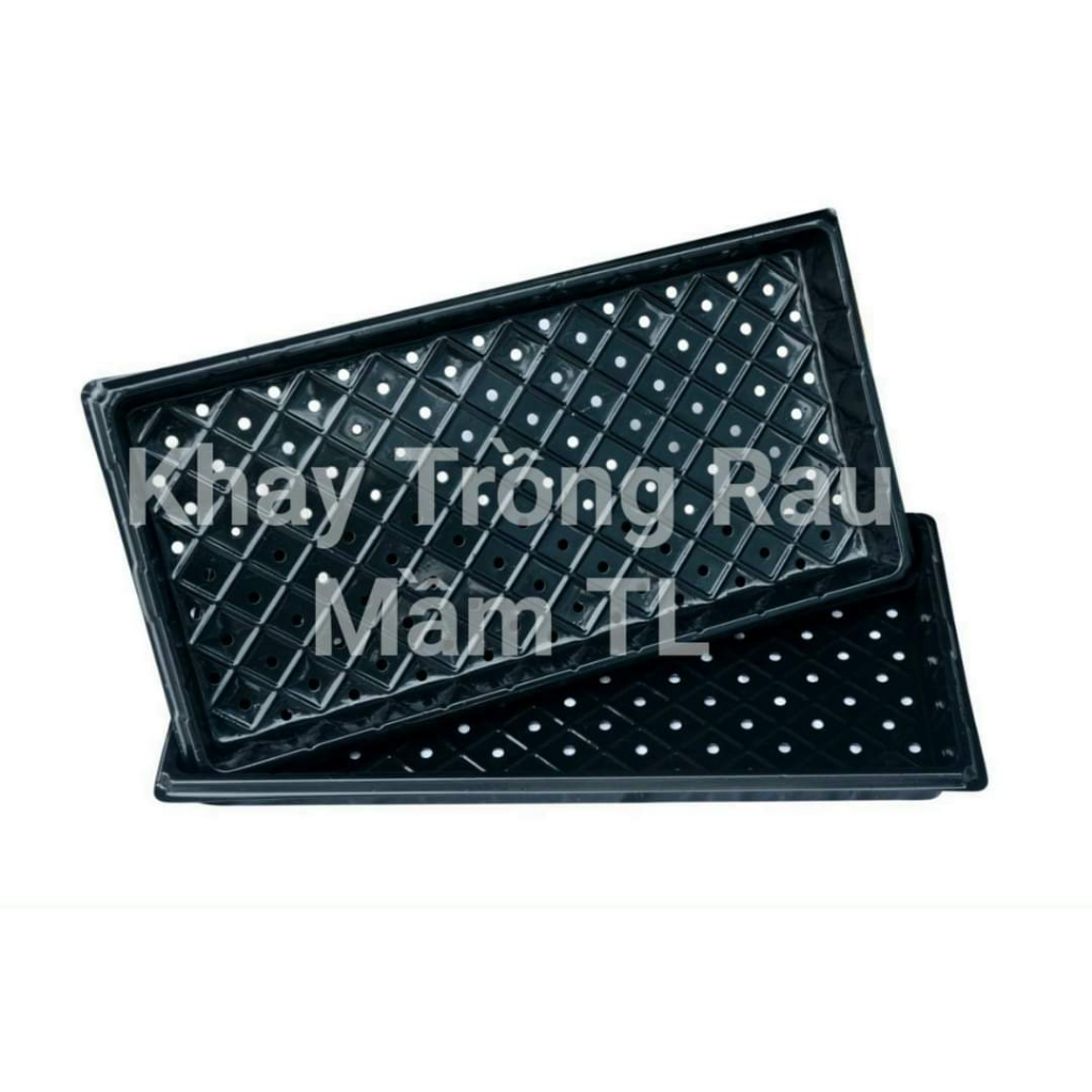 Khay trồng rau mầm thuỷ canh