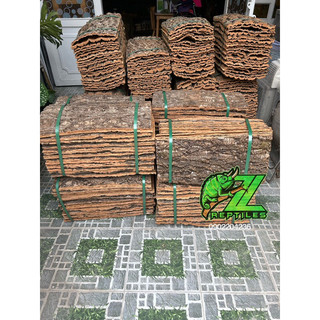 Vỏ cây thật trang trí sân vườn, tiểu cảnh
