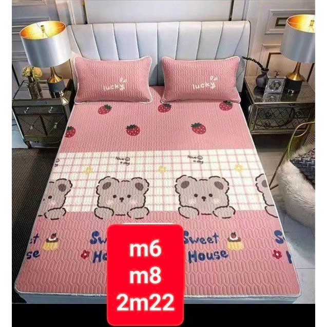 Chiếu điều hoà - nệm nằm, thảm cao su non không bí lưng HÀNG LOẠI 1 (TẶNG 2 VỎ GỐI)- đủ mẫu mã- đủ kích thước