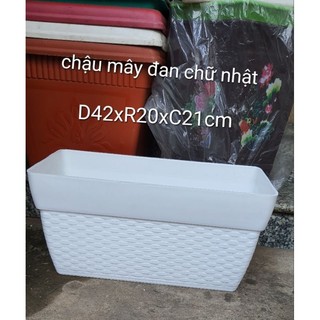 Chậu dài chữ nhật giả đan mây trồng hoa siêu đẹp size trung 42x20x21