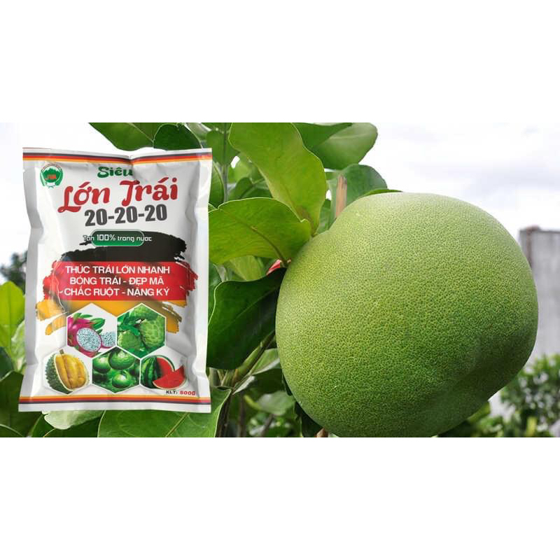 Phân nuôi trái lớn trái chống rụng trái đẹp trái gói 100gram pha 100 lít nước