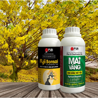 Cặp phân bón mai vàng to gốc bung đọt phục hồi mai suy Nhật Bản Fuji Bonsai + Fuji MaiVang