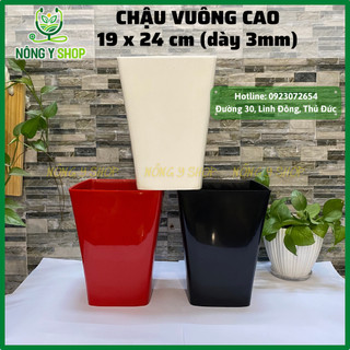 Size 19-24, chậu nhựa vuông cao, chậu vuông cao, chậu nhựa dày, bóng, chậu hoa, cây kiểng
