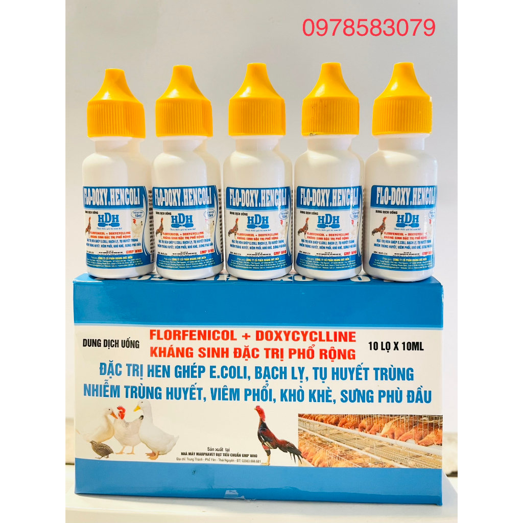 Flodoxy Hencoli Khò khe, hen khec, phan xanh, phan trăng