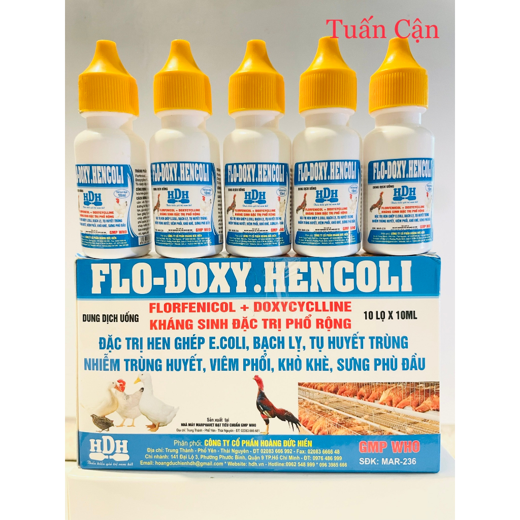 Flodoxy Hencoli Khò khe, hen khec, phan xanh, phan trăng