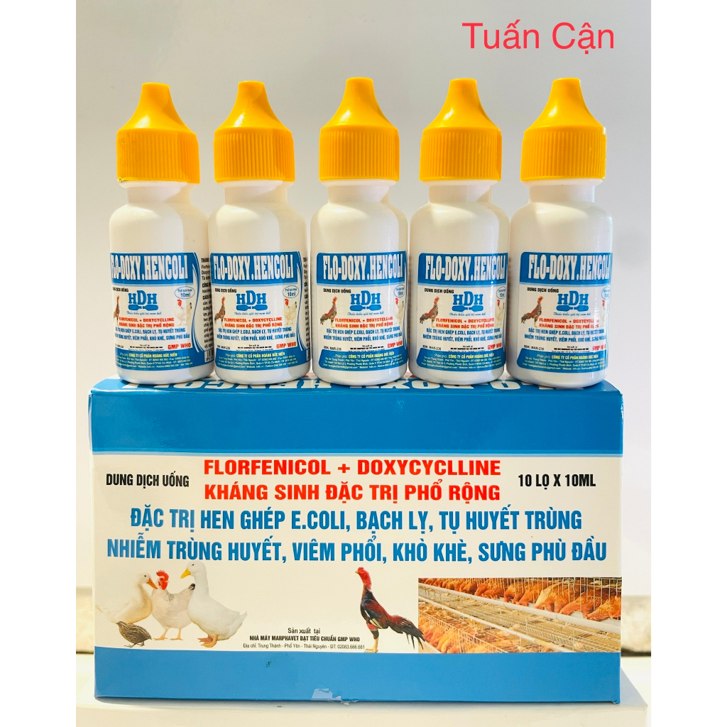 Flodoxy Hencoli Khò khe, hen khec, phan xanh, phan trăng