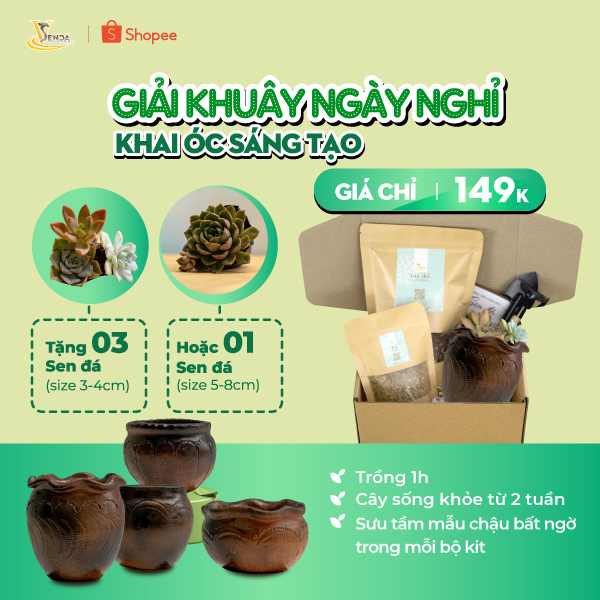 Bộ Kit trồng Sen đá chậu bàu trúc_Ươm mầm xanh_VSenda-chuyên các sản phẩm về Sen Đá