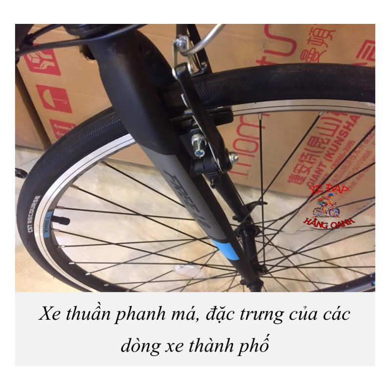 Xe đạp thể thao Trinx Free 1.0 2023 Chính hãng mới 100%