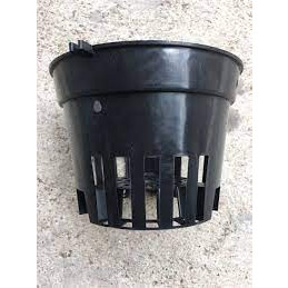 Combo 5 Chậu Nhựa Trồng Lan Phi 12