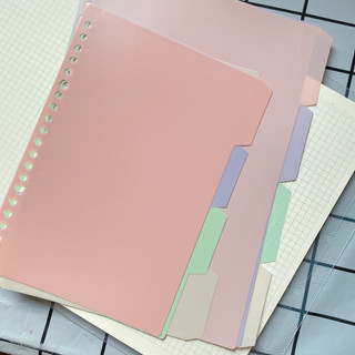 Tab phân trang nhựa, bìa phân trang sổ còng A5-20 lỗ/ B5-26 lỗ tone Pastel