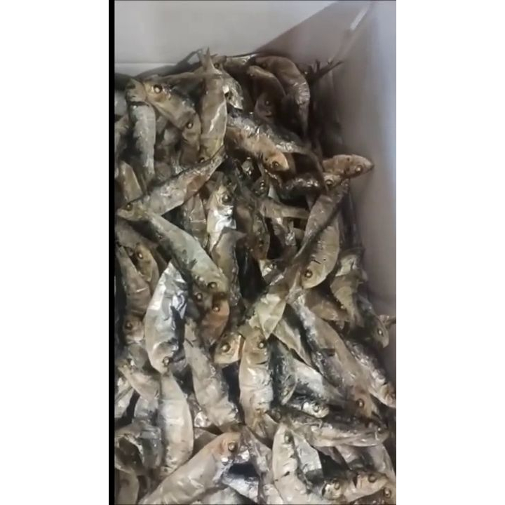 1 kg cá trích khô xuất khẩu - loại 1