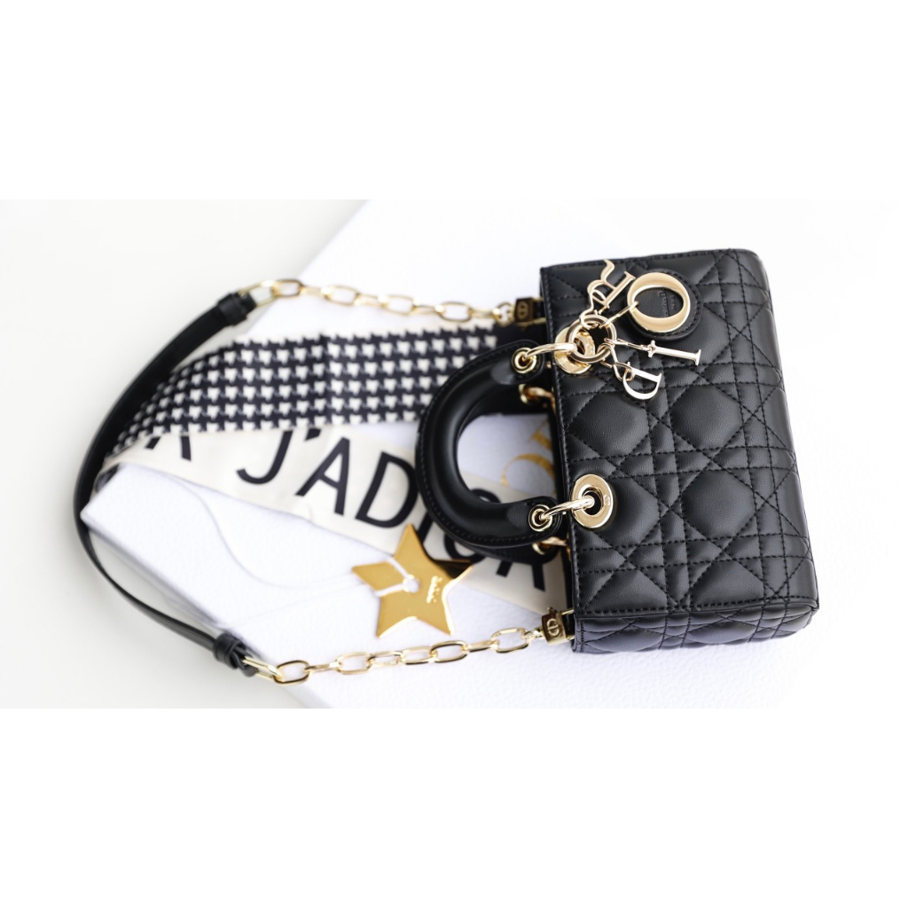 TÚI CD LADY D-JOY SZ18