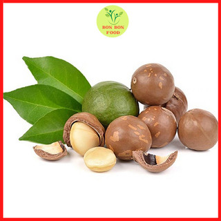 Hạt macca nhập Úc nứt tự nhiên kèm móc 500Gr