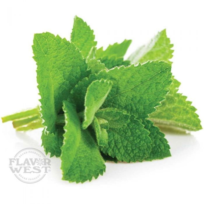 Hạt giống bạc hà Á spearmint