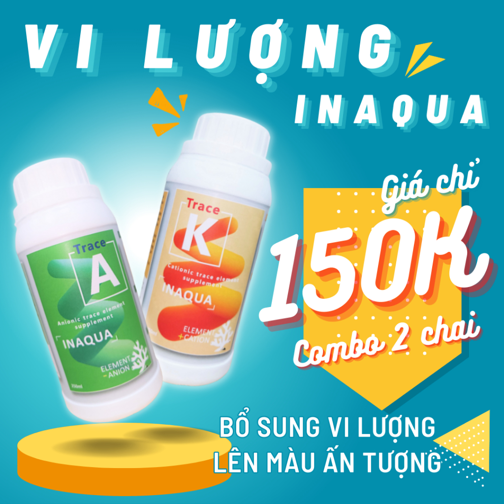 Giúp san hô lên màu_Bổ sung vi lượng inAqua