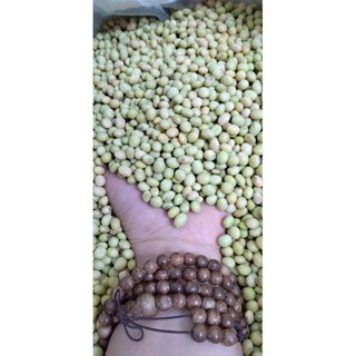 [Organic] 1kg Đậu Nành Giống Cũ Thuần Chủng Không Biến Đổi Gen, Đậu Hữu Cơ Trồng Tự Nhiên Không Phân Thuốc Hoá Chất