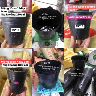 1 kg túi bầu ươm cây đủ cỡ túi bầu trồng cây