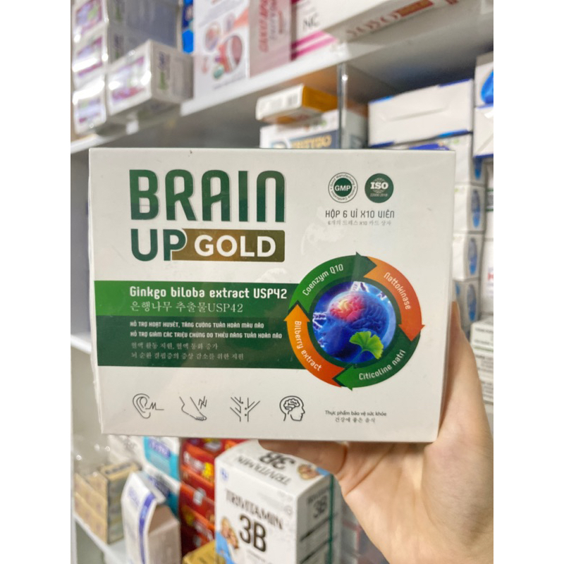 bổ não brain